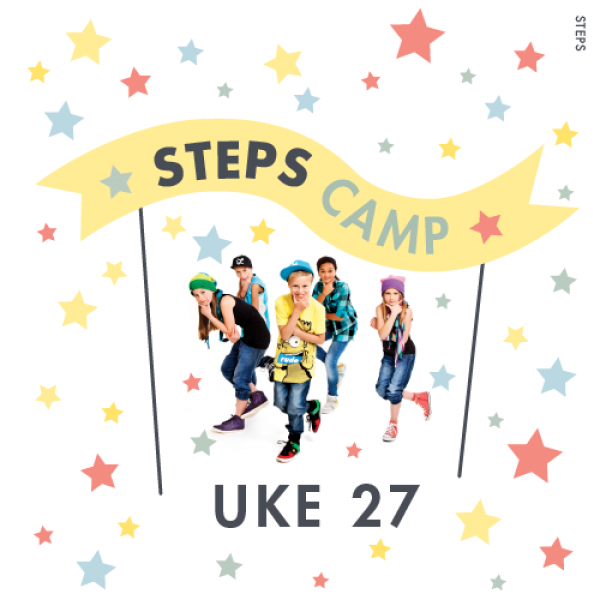 STEPS CAMP UKE 27
